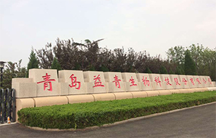 益青实景.jpg